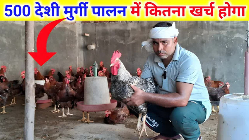 animal husbandry - ShareChat