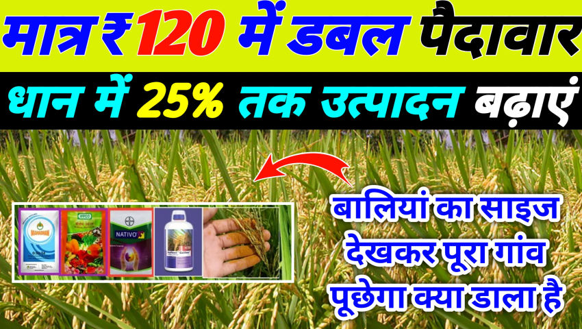 crop - ShareChat